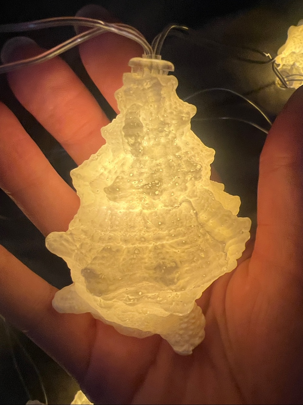 Pottery Barn Shell Garland String Lights - Picture 3 of 3
